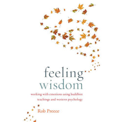 ISBN Feeling Wisdom livre