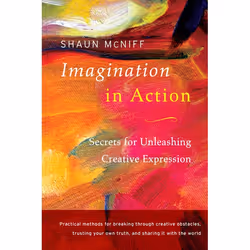 ISBN Imagination in Action, Livre broché, 256 pages