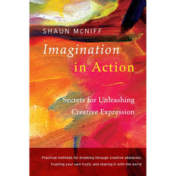 ISBN Imagination in Action livre