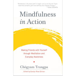 ISBN Mindfulness in Action livre