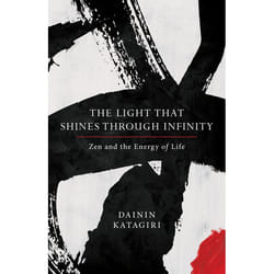 ISBN The Light That Shines through Infinity livre