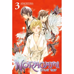 ISBN Noragami: Stray God 3, Fiction, Anglais, Livre broché, 200 pages