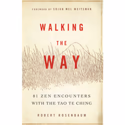 ISBN Walking the Way, Anglais, Livre de poche, 384 pages