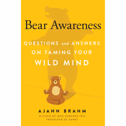 ISBN Bear Awareness, Anglais, Livre de poche, 176 pages
