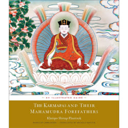 ISBN The Karmapas and Their Mahamudra Forefathers livre Anglais Livre de poche 344 pages