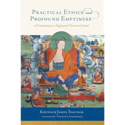 ISBN Practical Ethics and Profound Emptiness, Anglais, Livre de poche, 440 pages