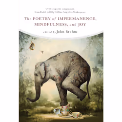 ISBN The Poetry of Impermanence, Mindfulness, and Joy, Anglais, Livre de poche, 312 pages