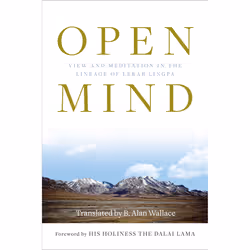 ISBN Open Mind, Anglais, Livre de poche, 424 pages