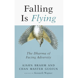 ISBN Falling is Flying livre Religion Anglais