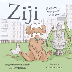 ISBN Ziji, Anglais, Couverture rigide, 56 pages