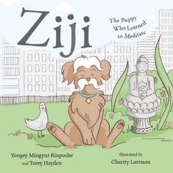 ISBN Ziji Couverture rigide