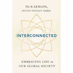 ISBN Interconnected, Anglais, Livre de poche, 264 pages