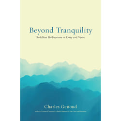 ISBN Beyond Tranquility livre Religion Anglais