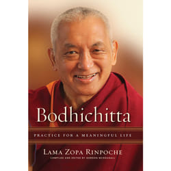 ISBN Bodhichitta livre Religion Anglais Livre broché 336 pages