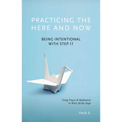 ISBN Practicing the Here and Now Livre de poche