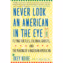 ISBN Never Look an American in the Eye, biographie, Anglais, Livre broché, 224 pages