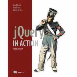 ISBN 9781617292071, Anglais, 504 pages