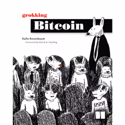 ISBN Grokking Bitcoin, Business & finance, Anglais, Livre broché, 480 pages