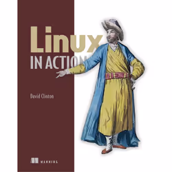 ISBN 9781617294938, Anglais, Livre broché, 384 pages