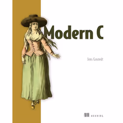ISBN 9781617295812, Anglais, Livre broché, 408 pages