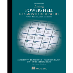 ISBN 9781617296963, Anglais, Livre broché, 360 pages