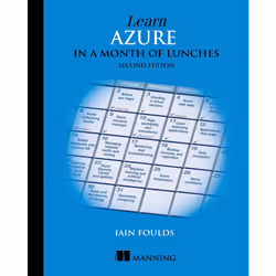 ISBN 9781617297625, Anglais, 368 pages