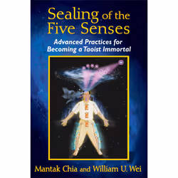 ISBN Sealing of the Five Senses, Anglais, Livre de poche, 176 pages