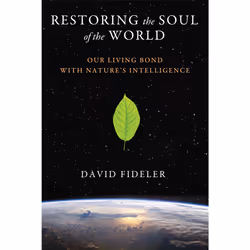 ISBN Restoring the Soul of the World, Anglais, Livre de poche, 320 pages