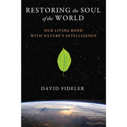 ISBN Restoring the Soul of the World Livre de poche