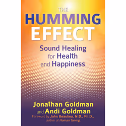 ISBN The Humming Effect, Anglais, Livre de poche, 144 pages