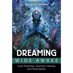 ISBN Dreaming Wide Awake, Anglais, Livre de poche, 416 pages