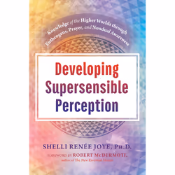 ISBN Developing Supersensible Perception, Psychologie, Anglais, Couverture rigide, 192 pages