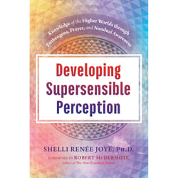 ISBN Developing Supersensible Perception livre Psychologie Anglais Couverture rigide