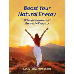 ISBN Boost Your Natural Energy livre Santé, esprit et corps Anglais