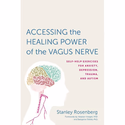 ISBN Accessing the Healing Power of the Vagus Nerve, Livre broché, 296 pages
