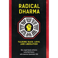 ISBN Radical Dharma livre