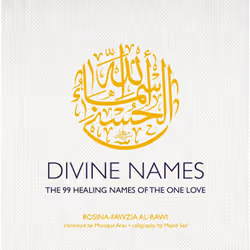 ISBN Divine Names, histoire, Anglais, Couverture rigide, 388 pages