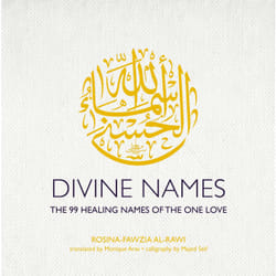 ISBN Divine Names livre histoire Anglais Couverture rigide