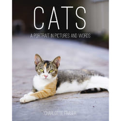 ISBN Cats livre Animaux Anglais Couverture rigide