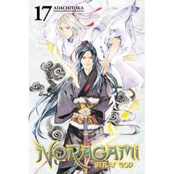 ISBN Noragami: Stray God 17 livre Fiction Anglais