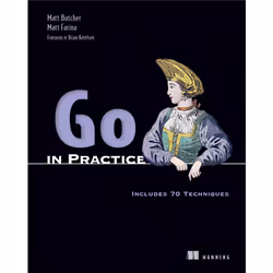 ISBN Go in Practice, Anglais, Livre broché, 312 pages