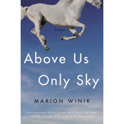 ISBN Above Us Only Sky
