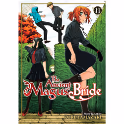 ISBN The Ancient Magus' Bride Vol. 11, Anglais, Livre broché, 180 pages