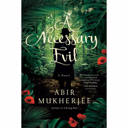 ISBN A Necessary Evil, fiction litéraire, Anglais, Livre broché, 384 pages