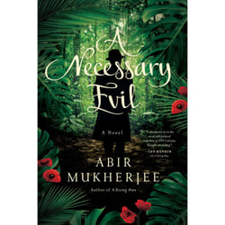 ISBN A Necessary Evil livre fiction litéraire Anglais