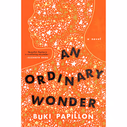ISBN An Ordinary Wonder, fiction litéraire, Anglais, Couverture rigide, 336 pages