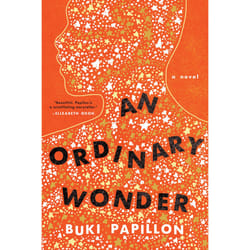 ISBN An Ordinary Wonder livre fiction litéraire Anglais Couverture rigide 336 pages