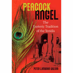 ISBN 9781644114124, Anglais, Livre broché, 272 pages