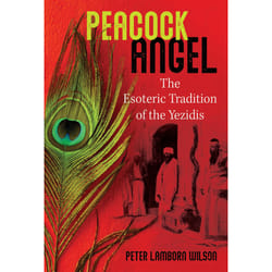 ISBN 9781644114124