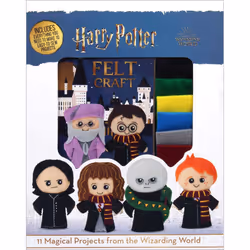 ISBN 9781645173762, Anglais, 64 pages